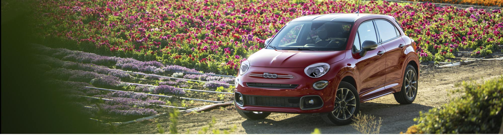 Un Fiat 500X Sport 2020 rojo en un camino de tierra junto a un campo de flores.